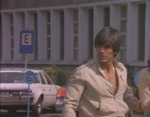 1980 VAM American Camioneta