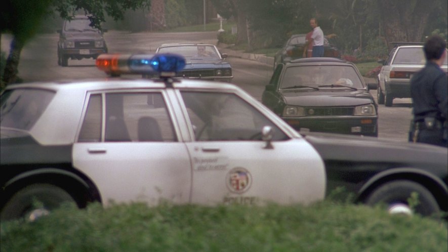 1984 Peugeot 505 [551A]