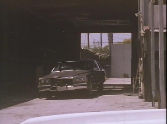 1982 Cadillac Fleetwood Limousine