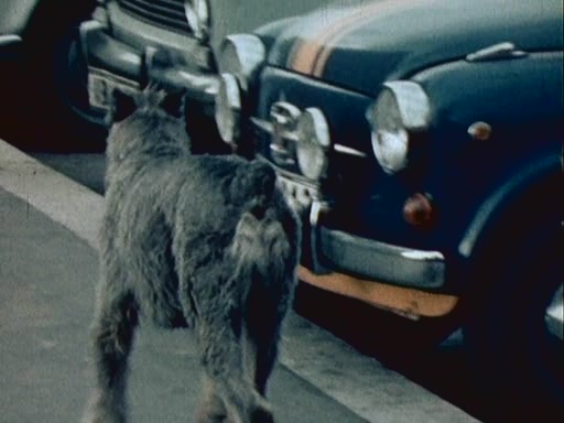 1966 Fiat 600 D [100D]