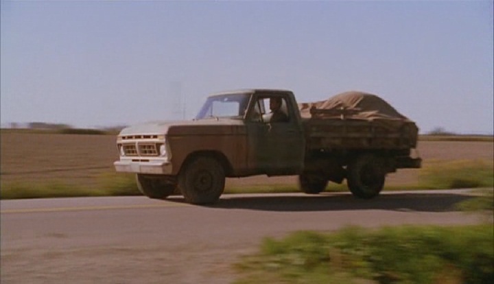 1976 Ford F-Series Regular Cab