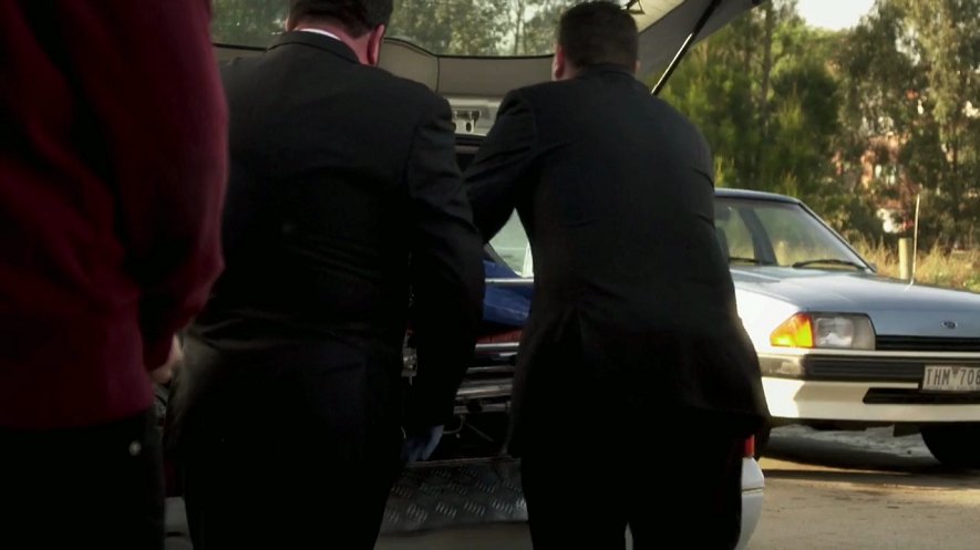 1984 Ford Falcon [XE]