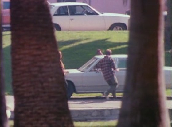 1978 Chevrolet Malibu