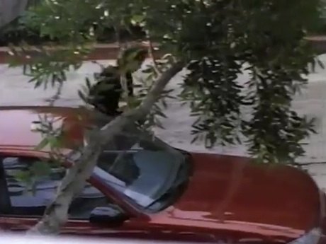 1993 Geo Prizm LSi [E100]