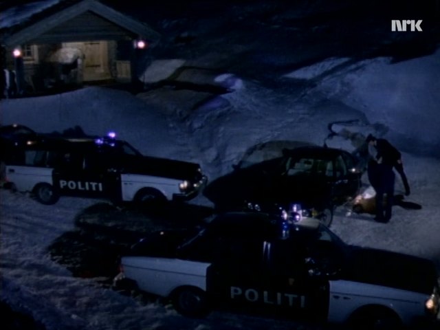 1975 Volvo 245 Politi