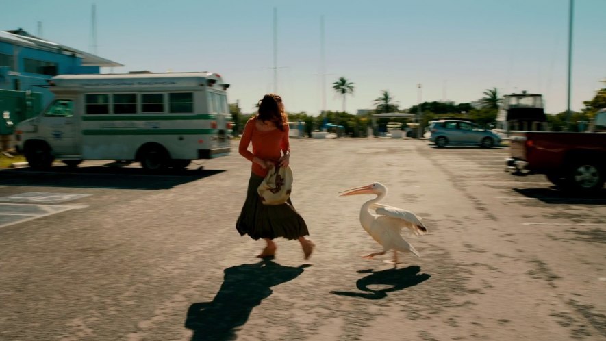 Chevrolet Chevy Van Thomas Minotour