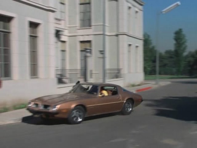 1975 Pontiac Firebird