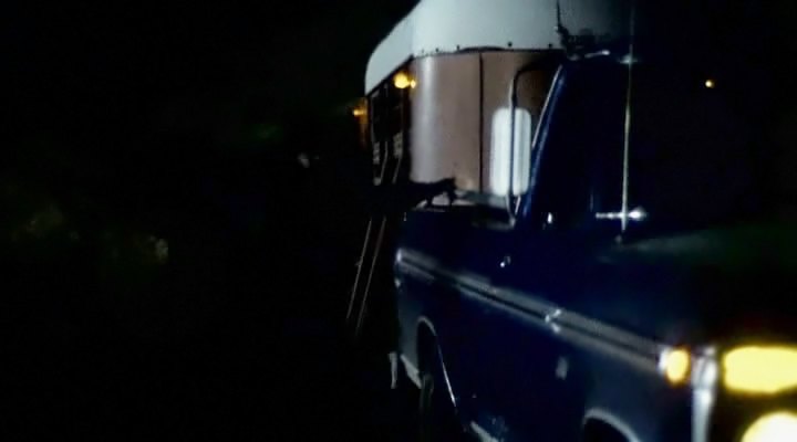 1973 Ford F-Series Regular Cab