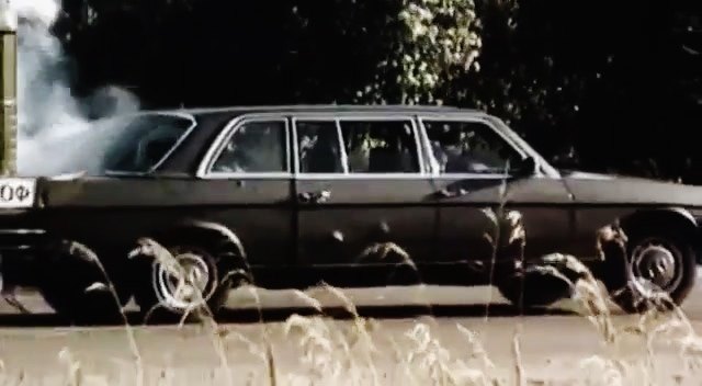 1980 Mercedes-Benz 300 D Lang [W123]