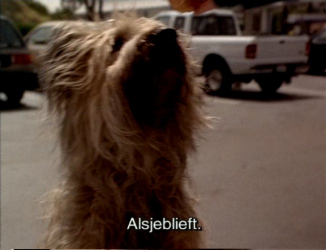 1993 Ford Ranger SuperCab [PN105]