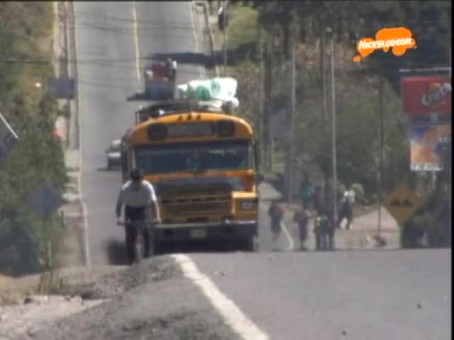 1980 Ford B-Series Blue Bird