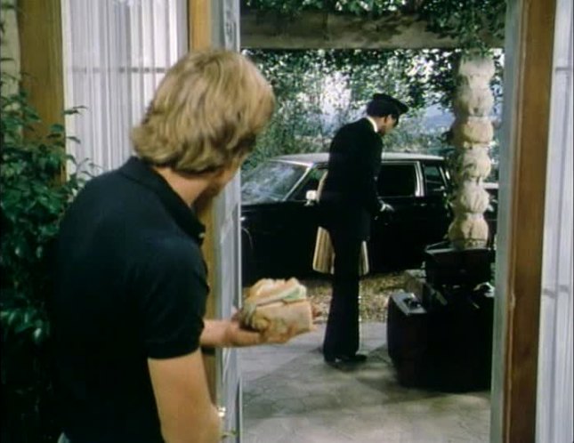 1980 Cadillac Fleetwood Limousine