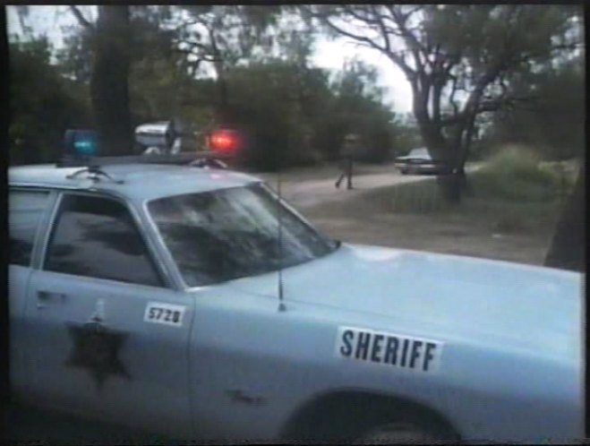 1974 Plymouth Fury I 4-door Sedan [PL41]