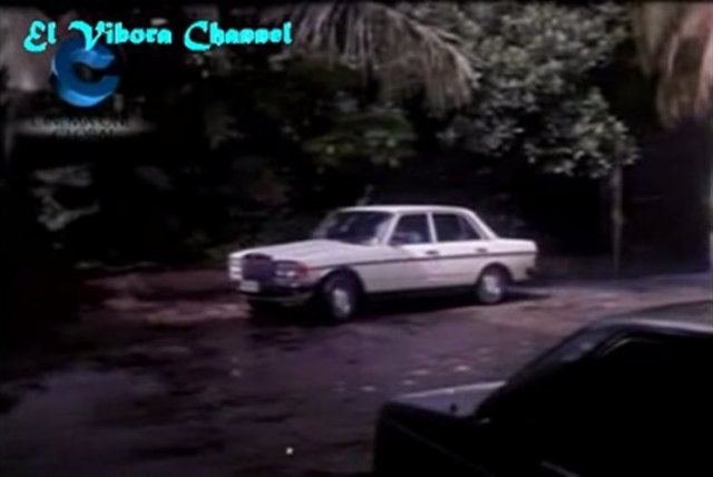 1976 Mercedes-Benz 300 D [W123]