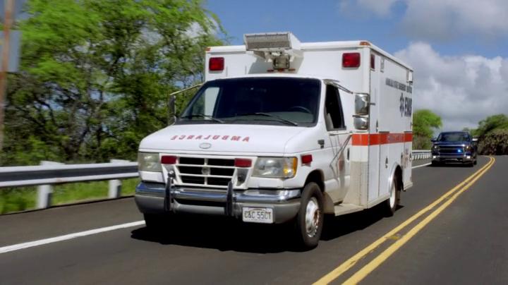 1997 Ford Econoline Wheeled Coach [E-350]