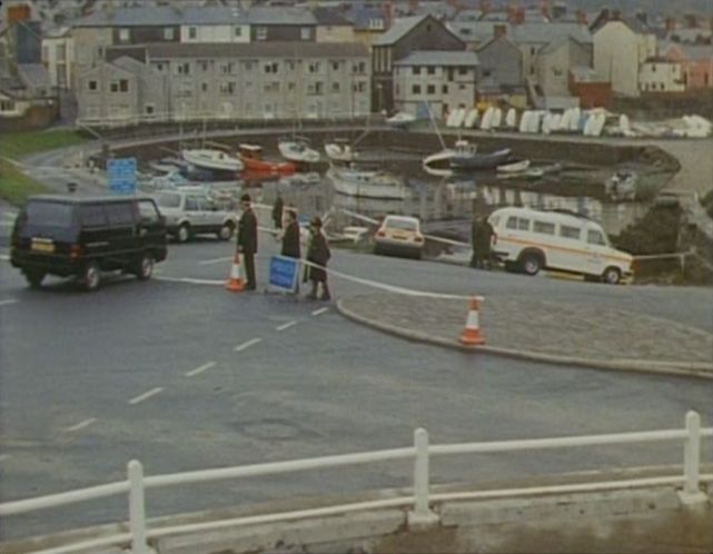 1980 Mitsubishi L-300