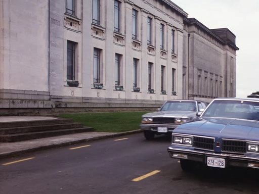 1981 Oldsmobile Delta 88