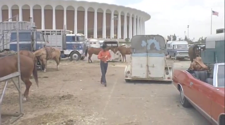 White-Freightliner WFT