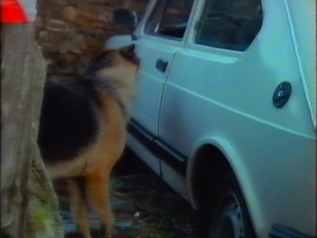 1981 Fiat 127 Super 2a serie [127A]