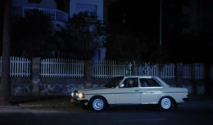Mercedes-Benz [W123]