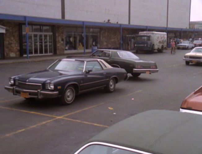 1974 Buick Century Regal Colonnade Coupe [J57]