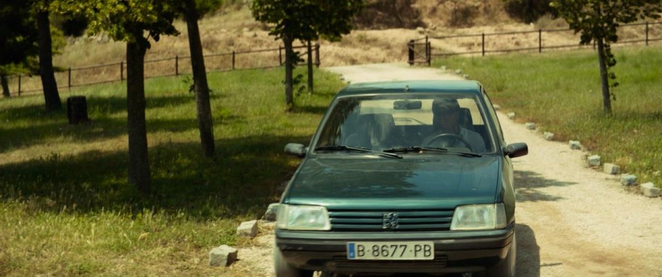 1995 Peugeot 205 1.7 D Generation