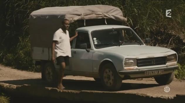 1987 Peugeot 504 Pick-up