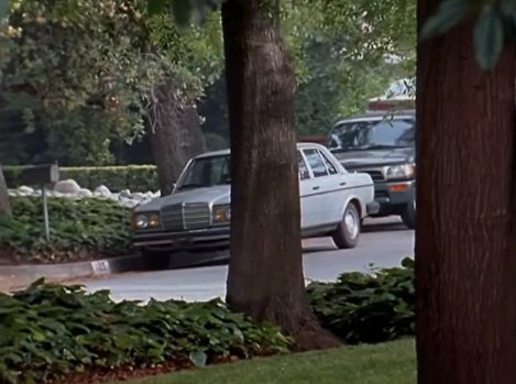 1980 Mercedes-Benz [W123]