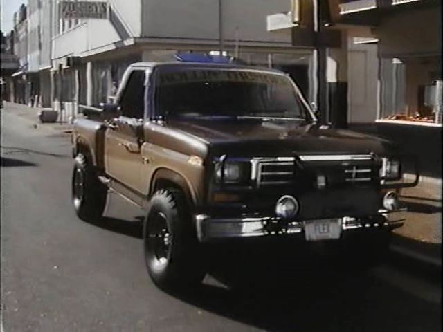 1982 Ford F-150 Regular Cab Flareside 4x4