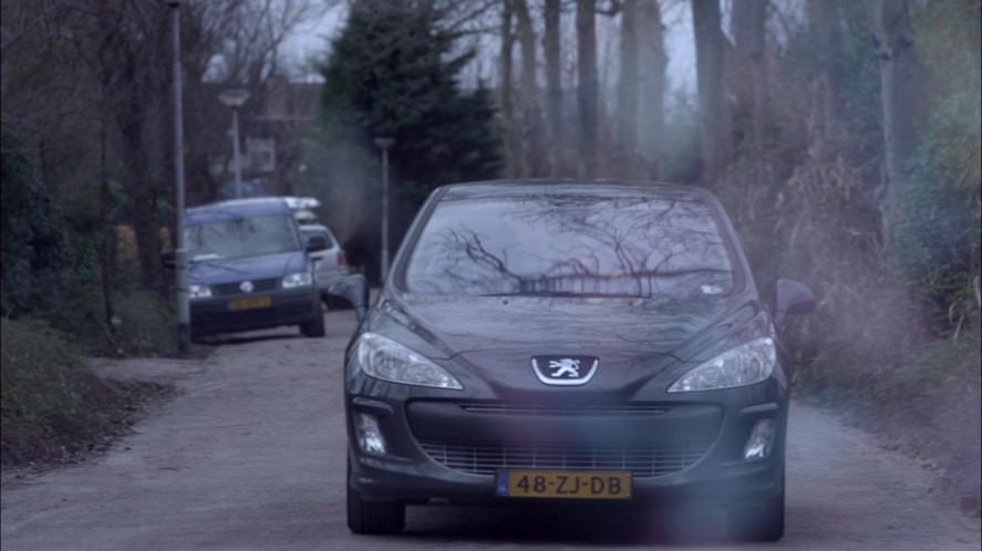 2008 Peugeot 308 1.6 VTI S�rie 1 [T7]