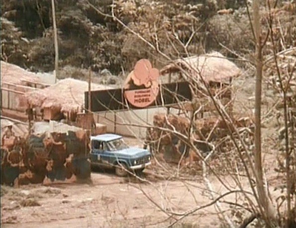 1979 Chevrolet Série 10