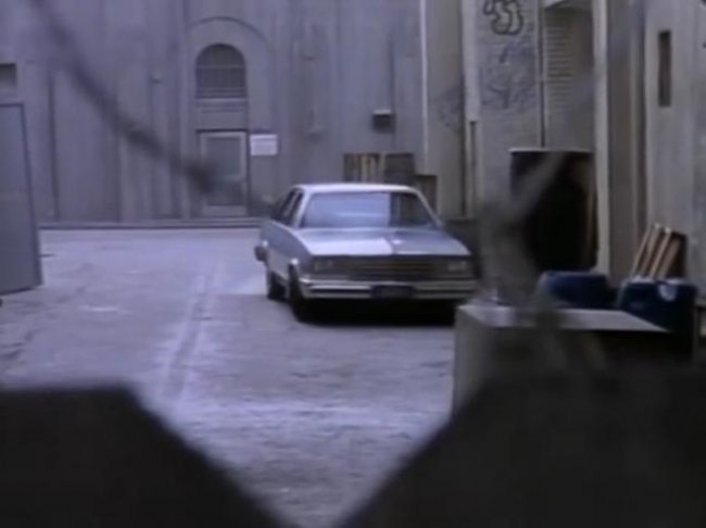 1979 Chevrolet Malibu