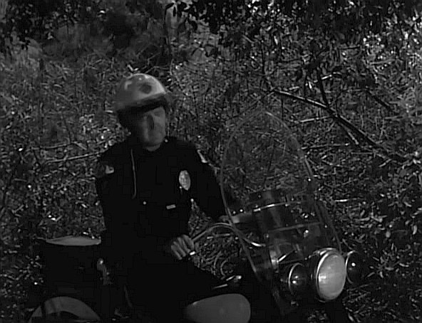 Harley-Davidson Hydra Glide Police [FL]