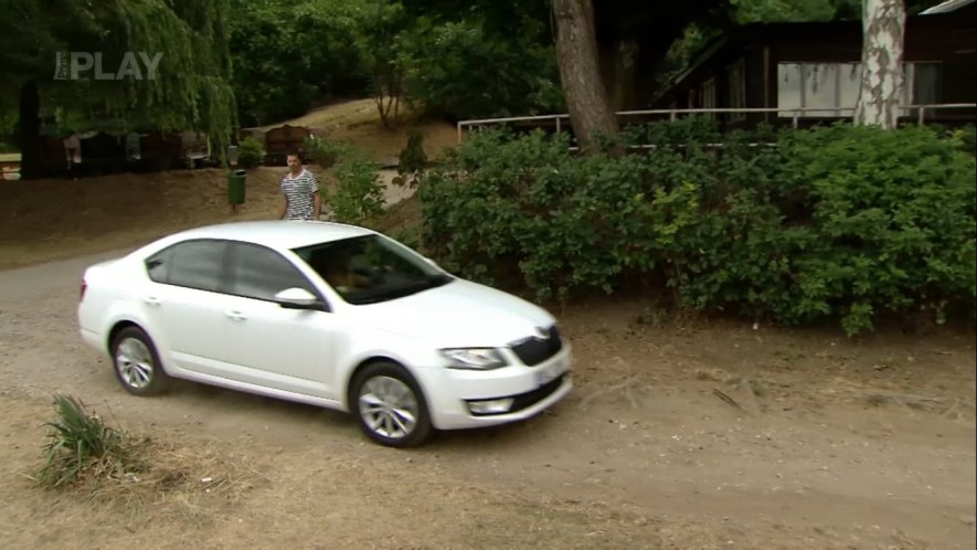2013 Škoda Octavia Series III [Typ 5E]