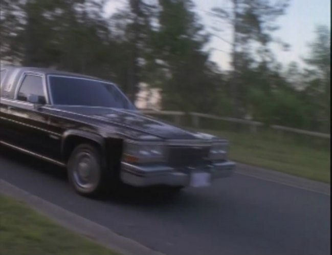 1983 Cadillac Sedan DeVille Stretched Limousine Armbruster/Stageway 'Silverhawk'