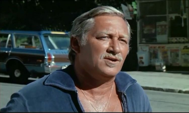 1976 Plymouth Volaré Premier