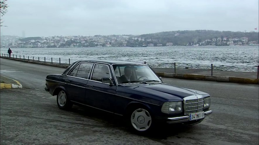 1983 Mercedes-Benz 230 E [W123]