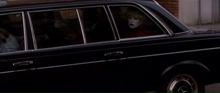 1978 Mercedes-Benz 250 Lang [W123]