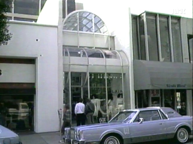 1980 Lincoln Continental Mark VI [66D]