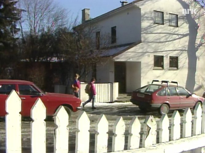 1984 Toyota Corolla Liftback 1.6 DX [AE82]