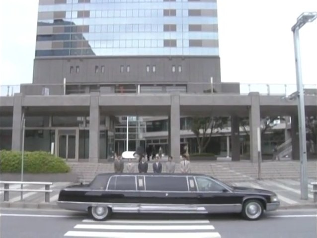 1995 Cadillac Fleetwood Stretched Limousine Classic Limousine 70''
