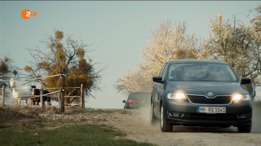 2014 Škoda Rapid Spaceback [Typ NH]