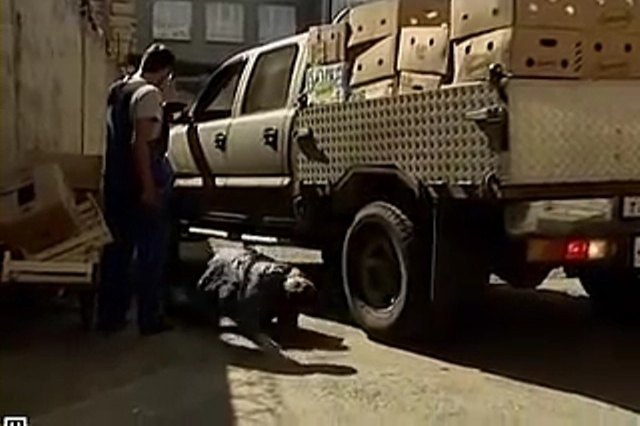 2001 GMC Sierra K-1500HD Crew Cab [GMT880]