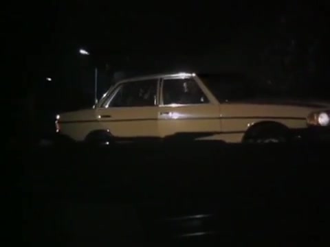 Mercedes-Benz [W123]