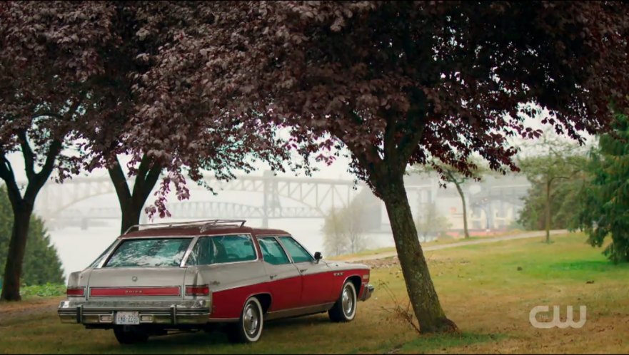 1976 Buick Estate Wagon