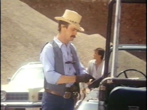 1975 Pontiac LeMans Safari