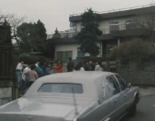 1978 Cadillac Fleetwood Limousine Landau Cabriolet