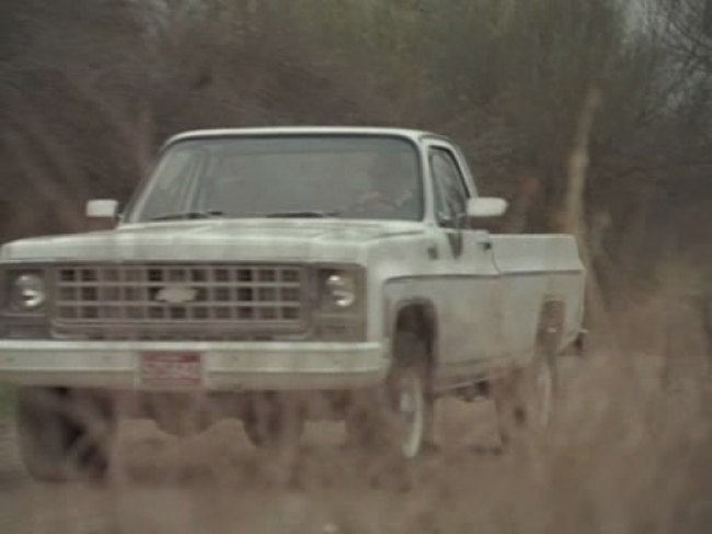 1980 Chevrolet K-20 Custom Deluxe
