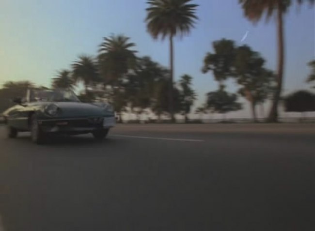 1983 Alfa Romeo Spider