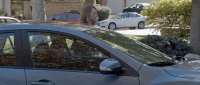 Click for details and comments about this vehicle 2044311